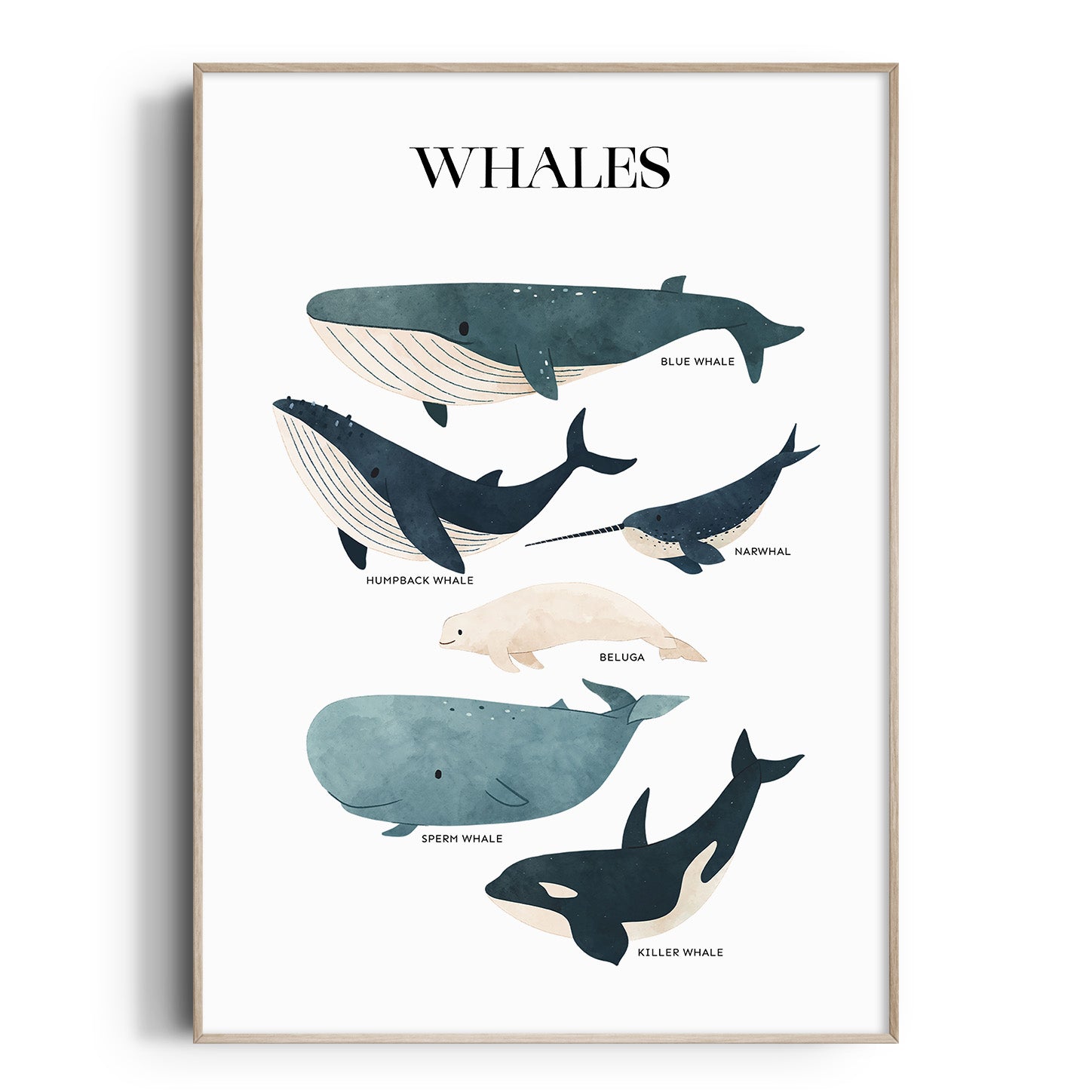 Whale Chart