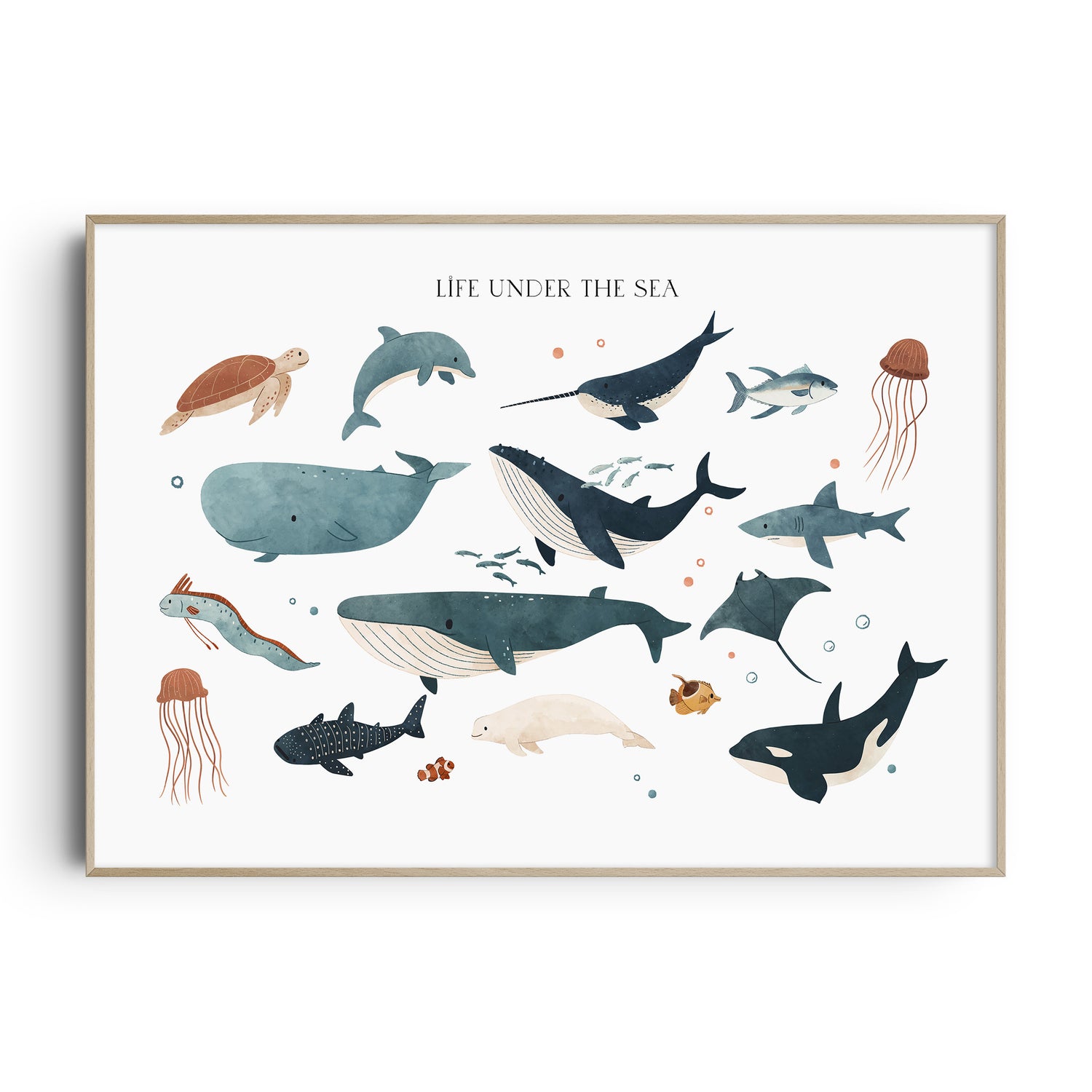 Ocean Animals Prints