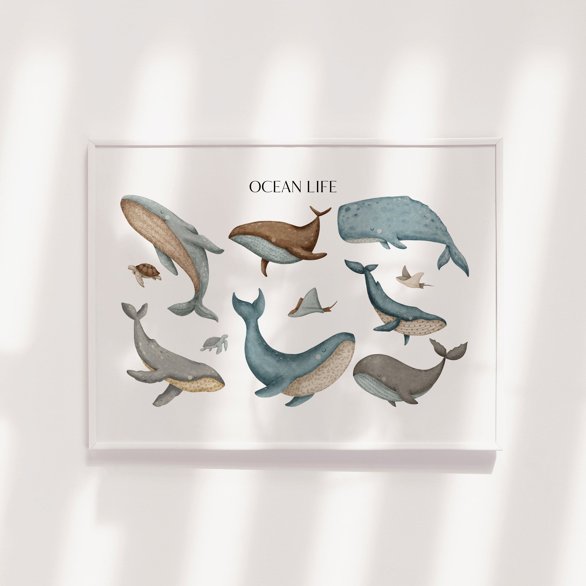 Ocean Life Print