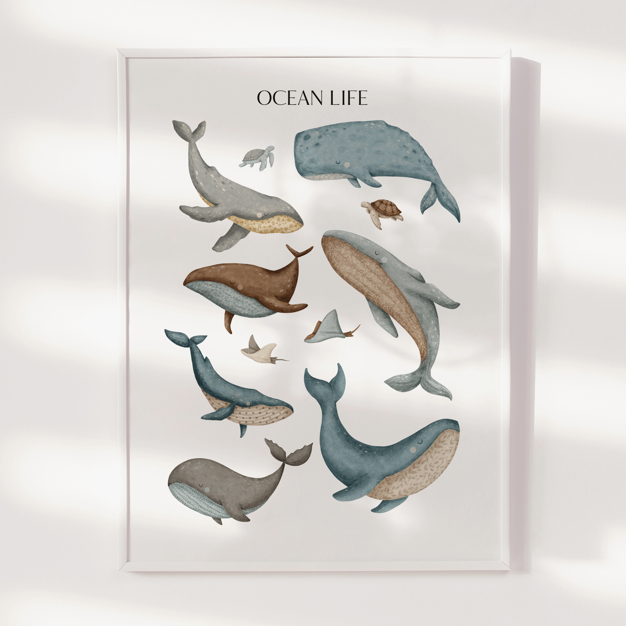 Ocean Life Print