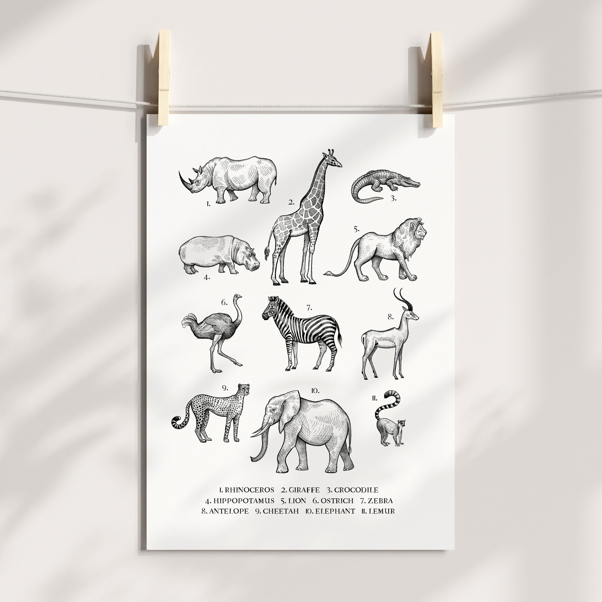 Vintage Animal Chart