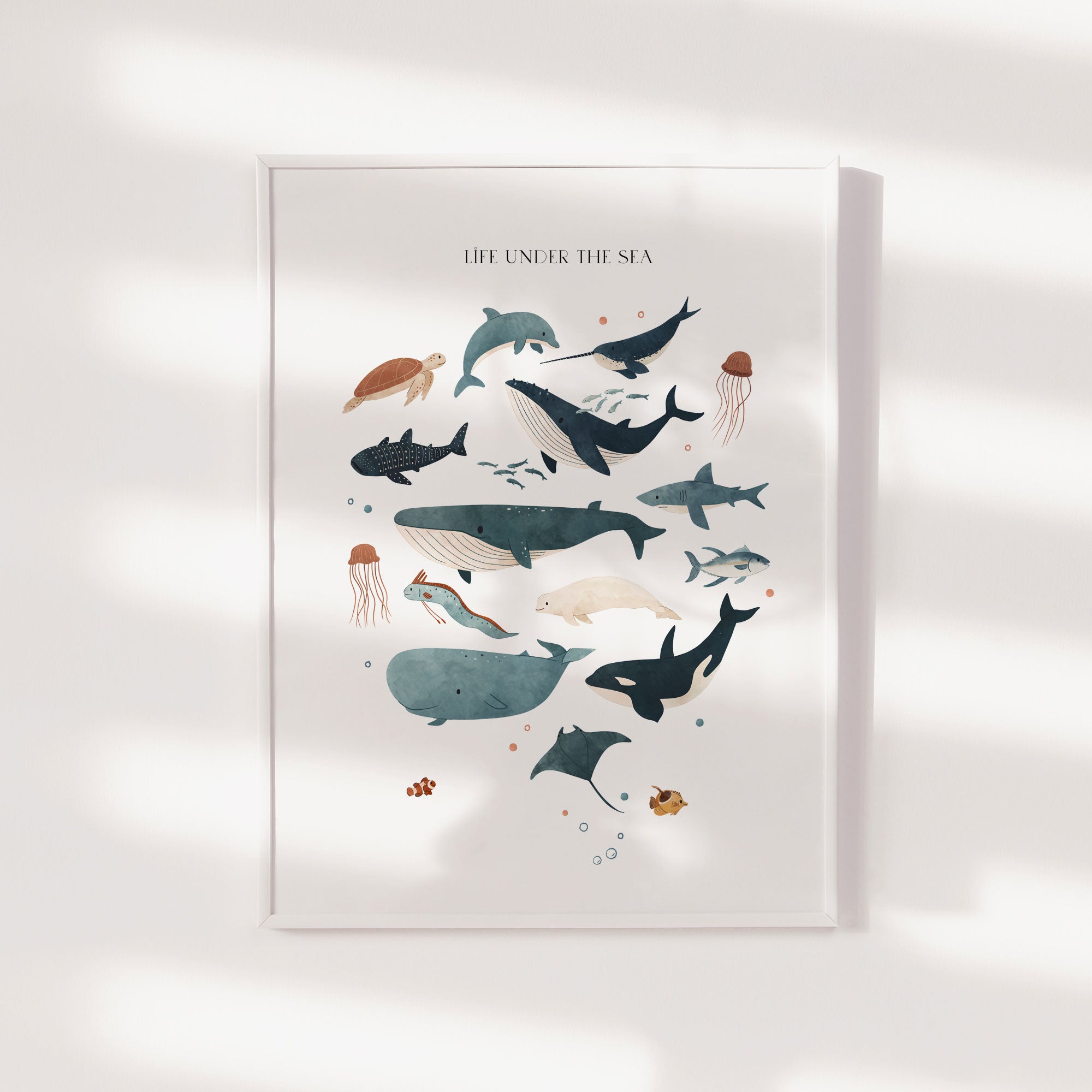 Ocean Animals Prints