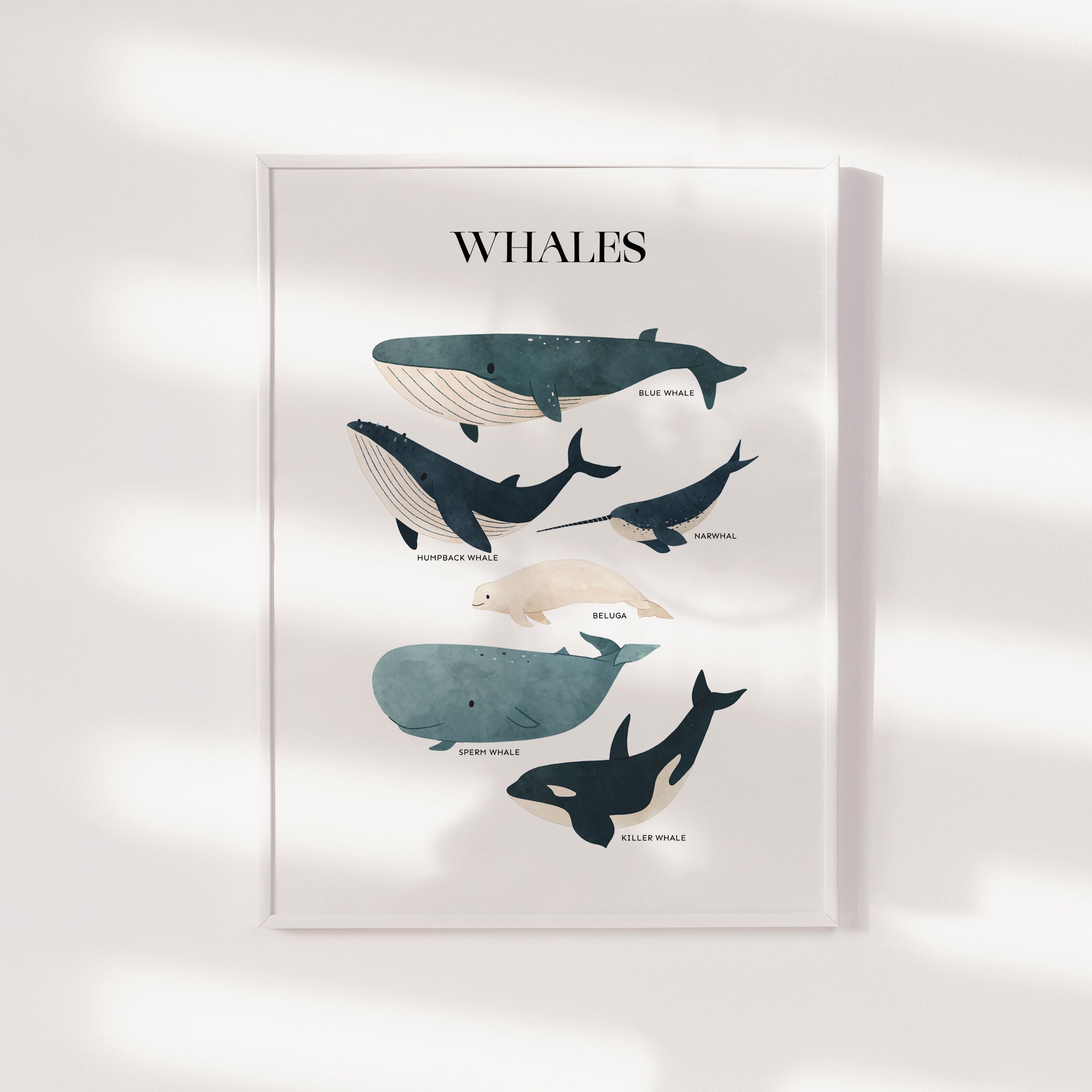 Whale Chart